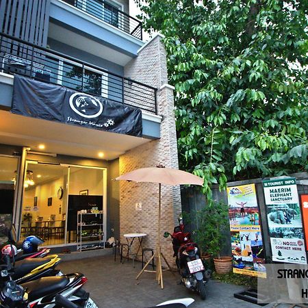 Stranger House Pansiyon Chiang Mai Dış mekan fotoğraf